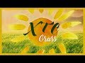 XTC - Grass (Rhythm Scholar Remix)