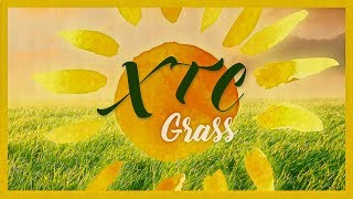 XTC - Grass (Rhythm Scholar Remix)