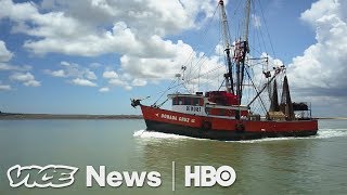 Staffing Shrimp Boats & Al Gore Returns: VICE News Tonight Full Episode (HBO)
