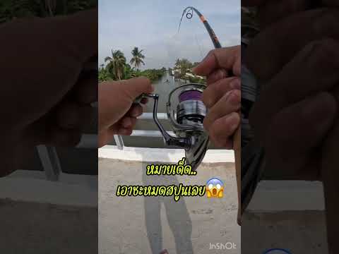 หมายเด็ดแบบนี้ก็ไม่ไหวนะ😱 #fishing #ตกปลาหน้าดิน