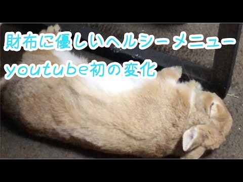 【ヘルシー＆リーゾナブルメニュー】都内２３区ひとり暮らし女子の日常。ヘルシーでお財布に優しいメニュー/ありがとうございます！