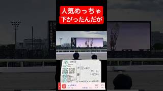 【ありがてえ】3人人気から6人気に下がってオッズつくのありがたすぎるだろ！ #競馬