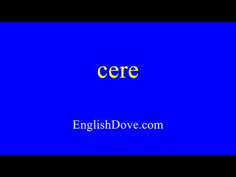 How to pronounce cere in American English