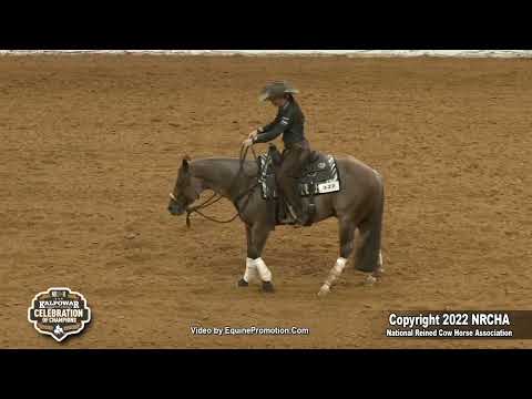 Hazardouz Material & Erin Taormino Win Open Hackamore World Championship