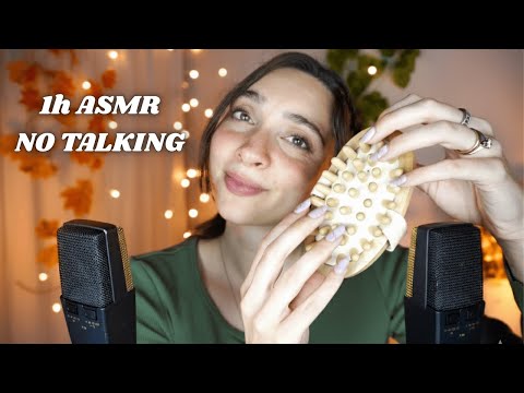 1H ASMR BACKGROUND NO TALKING | to study, work, sleep