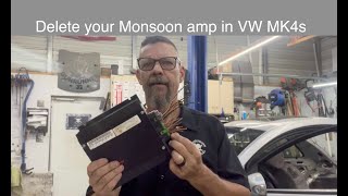 Bypass VW monsoon amp