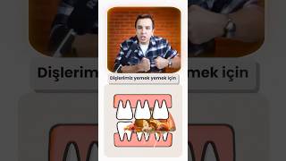 DİŞ ÇEKTİRENLERİN BAŞINA NE GELİYOR ?
