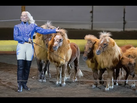 Equine Affaire Fantasia Interview - Lisa Dufresne