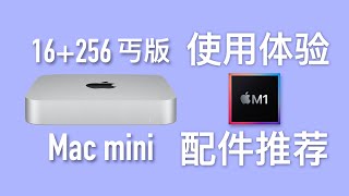 M1 Mac mini 16+256 评测:  丐版都能剪4K? 显示器|存储|雷电|外设 选购推荐