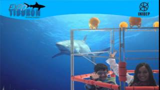 DIA 3 Expo Tiburon53