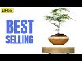 14 Best-Selling Electronics (and related) Gadgets on #AliExpress + GIVEAWAY | Aliholic