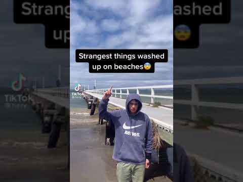 strangest things washed up on beaches (credit to tsezy )