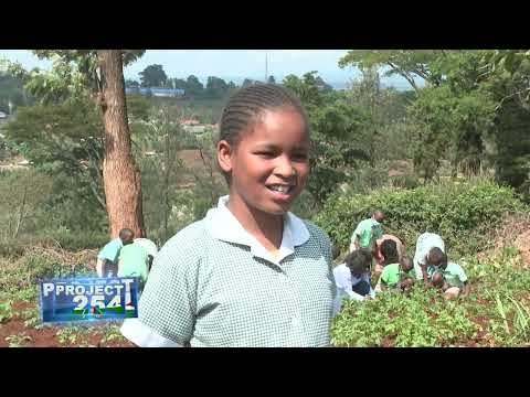 Project 254, Episode 86 - REVIVAL OF 4-K CLUBS AND YOUNG FARMERS CLUBS