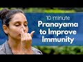 10 Minute Pranayama to Increase Immunity | इम्यूनिटी बढ़ाने के लिए प्रा