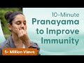 10 Minute Pranayama To Increase Immunity इम्यूनिटी बढ़ाने के ल�