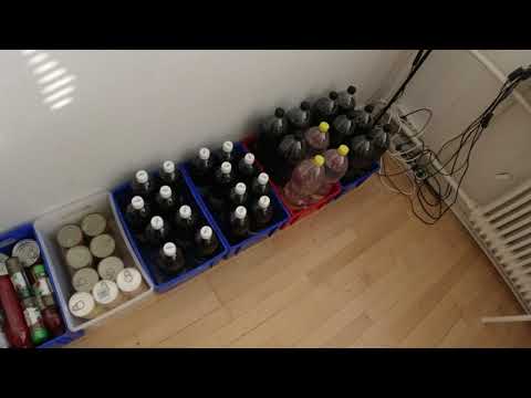 MongoTV_7561 - LIDL Haul 276 Kroner - MEDISTERPØLSE - GA-JOL - Blandet Mad - FRYSEPOSER