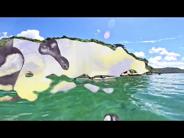 西表島カヌークラブぱいしぃず