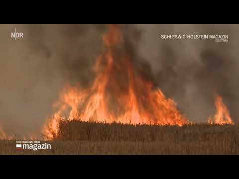 Brand auf Feldern im Herzogtum Lauenburg | SH Magazin 03.07.2018