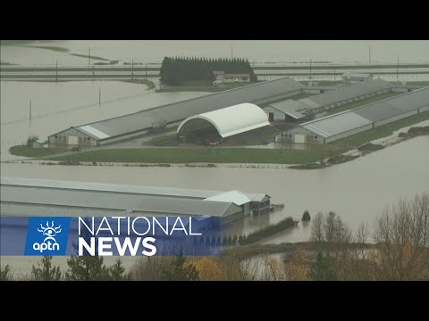Traces of cocaine, pharmaceuticals found in B.C. river after floods | APTN News
