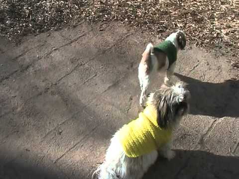 Vasco's 6th Birthday