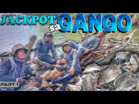 EP880-P1 - Jackpot sa Gango