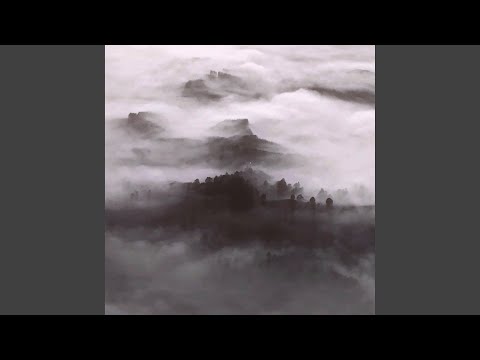 reflections from within a silver lake