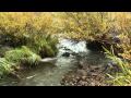 Beavers in Utah