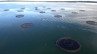 Miniatura do vídeo