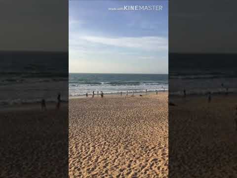 BASE ONE FT YOUNG SPRAY - SHUT UP