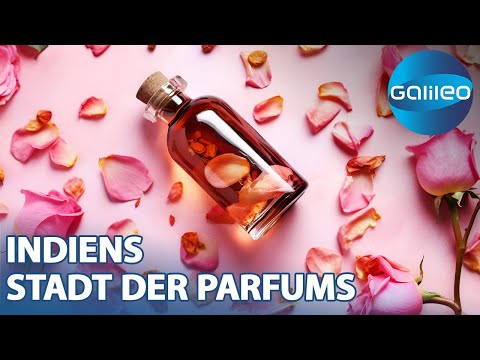 The essence of the world's best fragrances: How thousands of flowers become precious attar oil