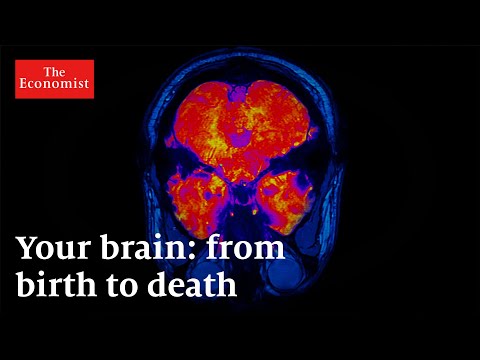 What happens to your brain as you age