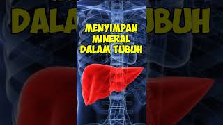 Download lagu Kutipan Romantis Lucu ❤️❤️ Memyimpan Cintaku #shorts #lucu mp3