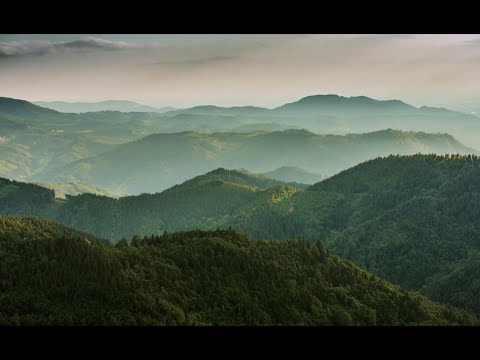 Unsere Tausender im Schwarzwald