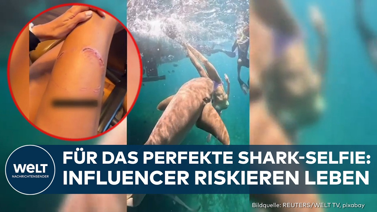 LEBENSGEFAHR FÜR LIKES: Dieser Hai-Trend schockiert das Netz!