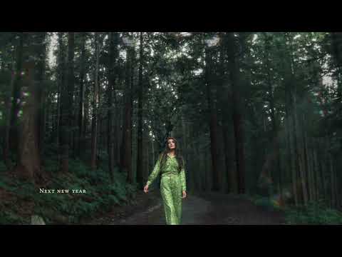 Next New Year - Catherine McGrath