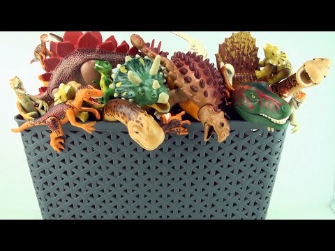 Playmobil-Dinosaurier-Kollektion – Tyrannosaurus und Triceratops in der Dinosaurier-Spielzeugbox