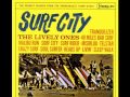The Lively Ones - Malibu  Run