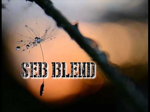 Paluch - Jak żyć feat. Ero, Sitek (Seb Blend)