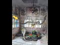 Snakes In Shiv Temple Touchfacts Snakes In The Temple Amazingfacts Touchfacts Shorts
