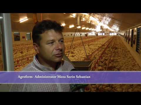 AGROFERM SRL, Medieşu Aurit - Proiect Extindere Fermă de Pui Finantat prin GAL Somes-Codru