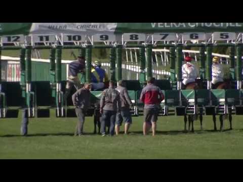 CH, 6. 5. 2018, 8. dostih - CENA BOSNY