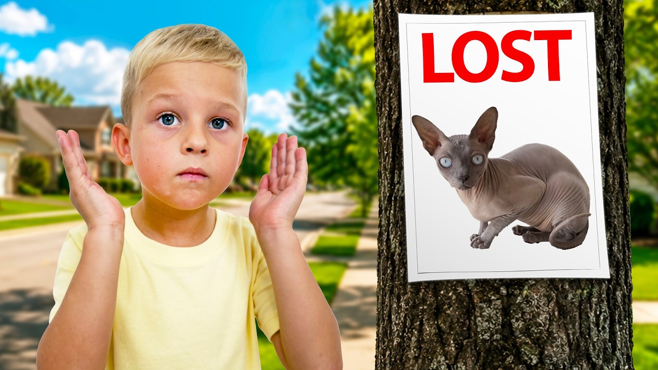 David LOST a KITTY