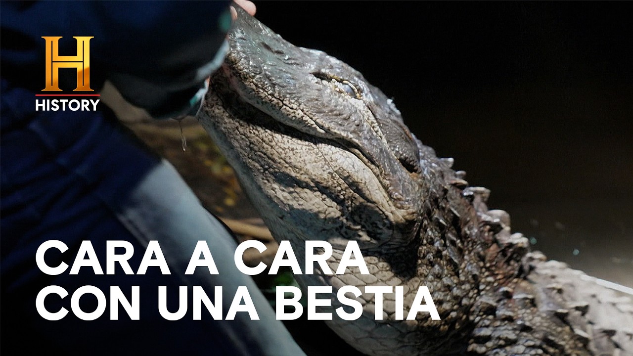 Buscando al Cocodrilo Asesino - MISTERIOS DEL PANTANO