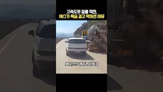 고속도로 충돌 직전, 버스가 목숨 걸고 막아선 이유