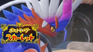 この子と一緒に最高の宝を探しに行きます！【ポケットモンスター　スカーレット】＃02