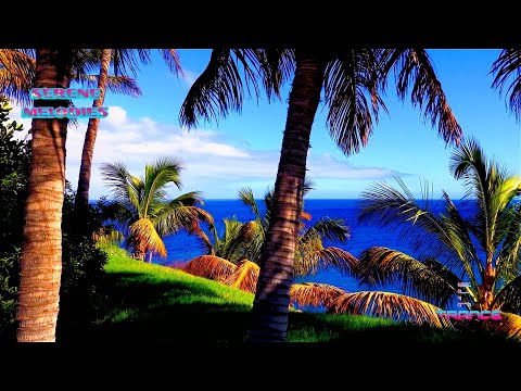 Hiromori Aso - Lonely Journey (Original Mix) [Serene Melodies]