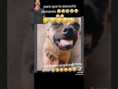 memes de nebaj Quiche