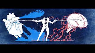 Wish Upon A Storm Meat Puppets