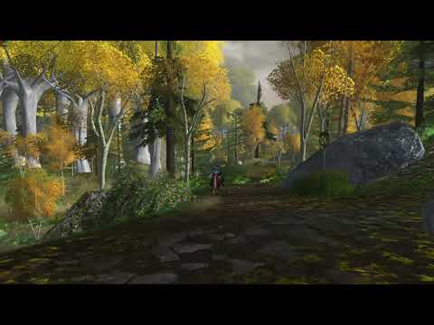 Lothlorien - the Golden Wood