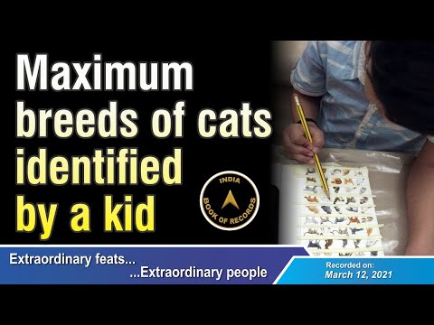 Maximum breeds of cats identified by a kid